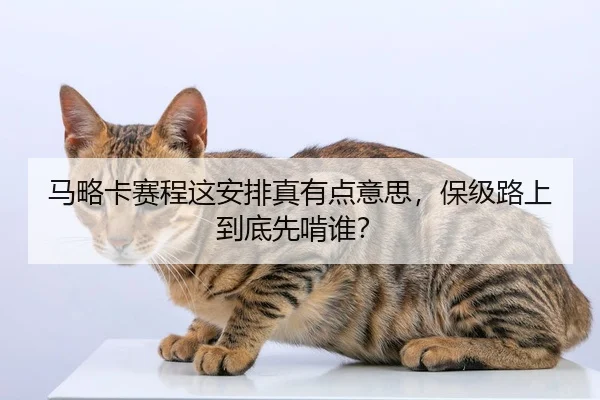 马略卡赛程这安排真有点意思，保级路上到底先啃谁？