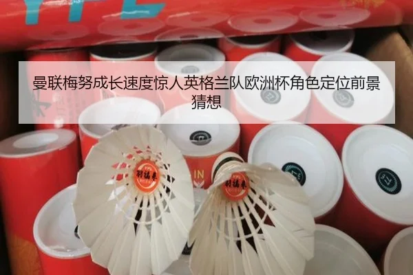 曼联梅努成长速度惊人英格兰队欧洲杯角色定位前景猜想