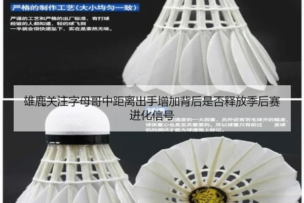 雄鹿关注字母哥中距离出手增加背后是否释放季后赛进化信号