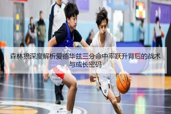 森林狼深度解析爱德华兹三分命中率跃升背后的战术与成长密码