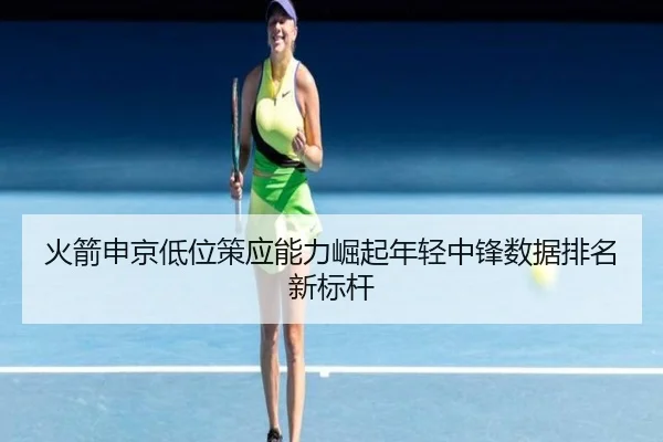 火箭申京低位策应能力崛起年轻中锋数据排名新标杆